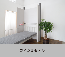 カイジョモデル