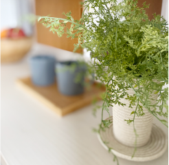 パントリーのカウンター